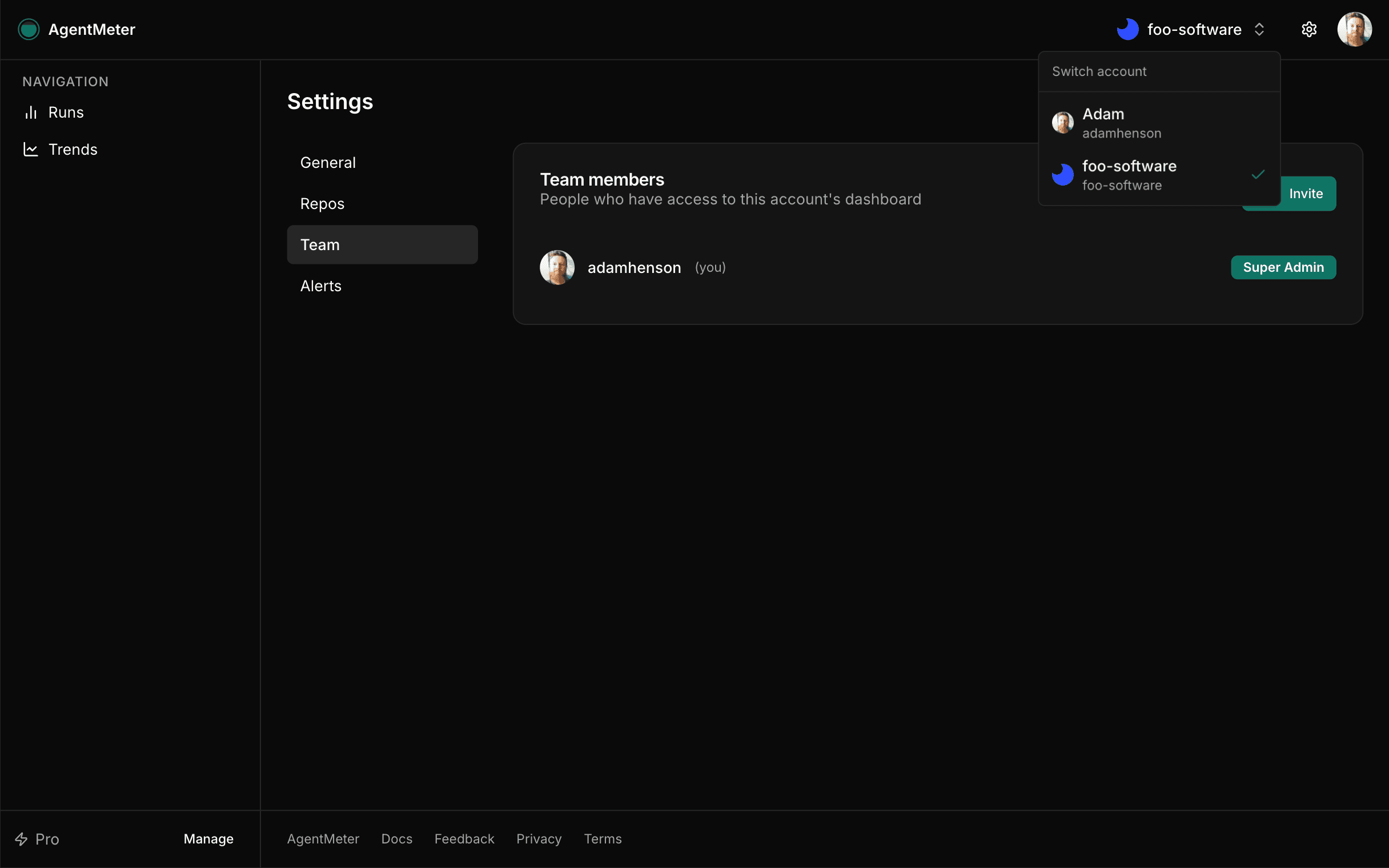AgentMeter team settings showing connected repos and member management